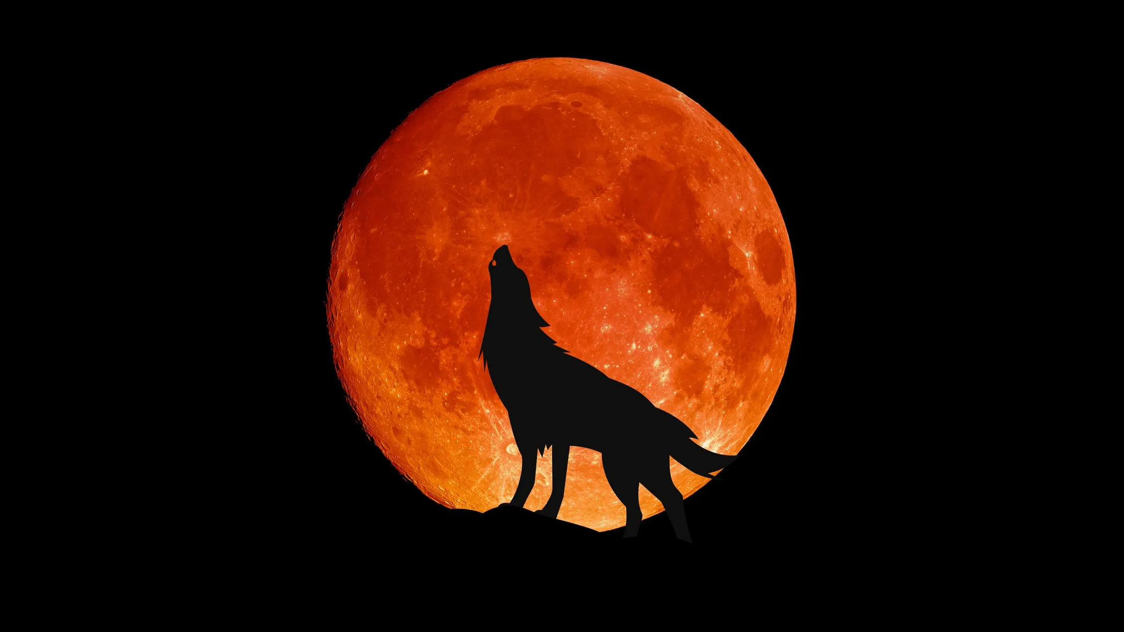 wolf-howling-in-front-of-a-big-red-moon